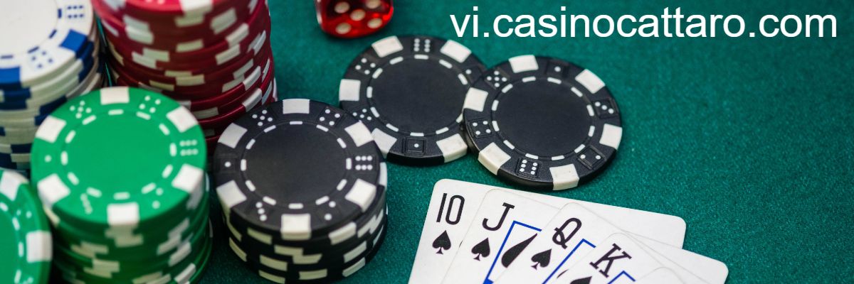 vi.casinocattaro.com